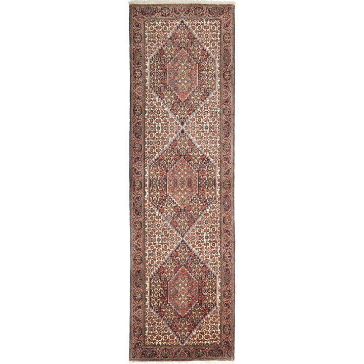 Hand Made Rug Bidjar Persia 74x251 Brown Ivory