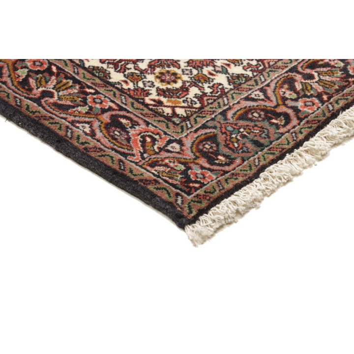 Hand Made Rug Bidjar Persia 74x251 Brown Ivory