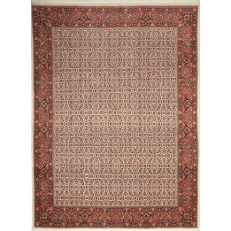 Tappeto Originale Bidjar Con Seta Persia 250x33