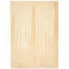 Shayan Fine 170x237 Cm Shayan Fine, Pakistan, Hand-carded