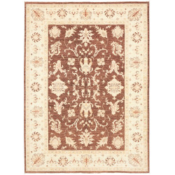 Rug Ziegler Fine Pakistan 170x237 Terracotta Bro