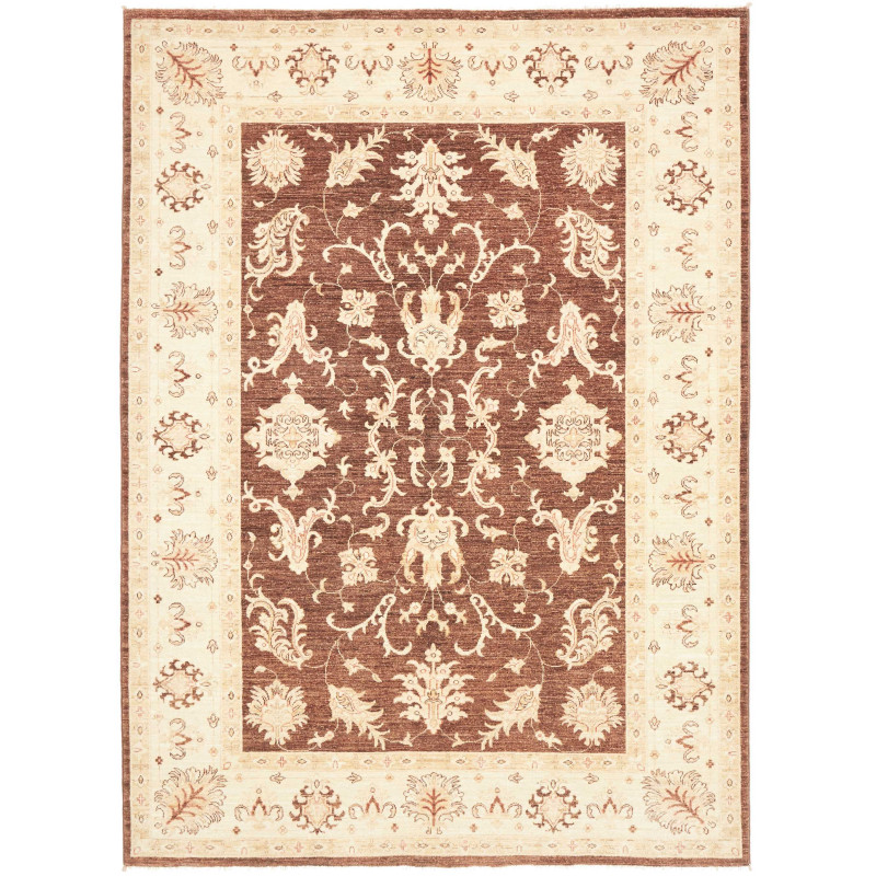 Rug Ziegler Fine Pakistan 170x237 Terracotta Bro