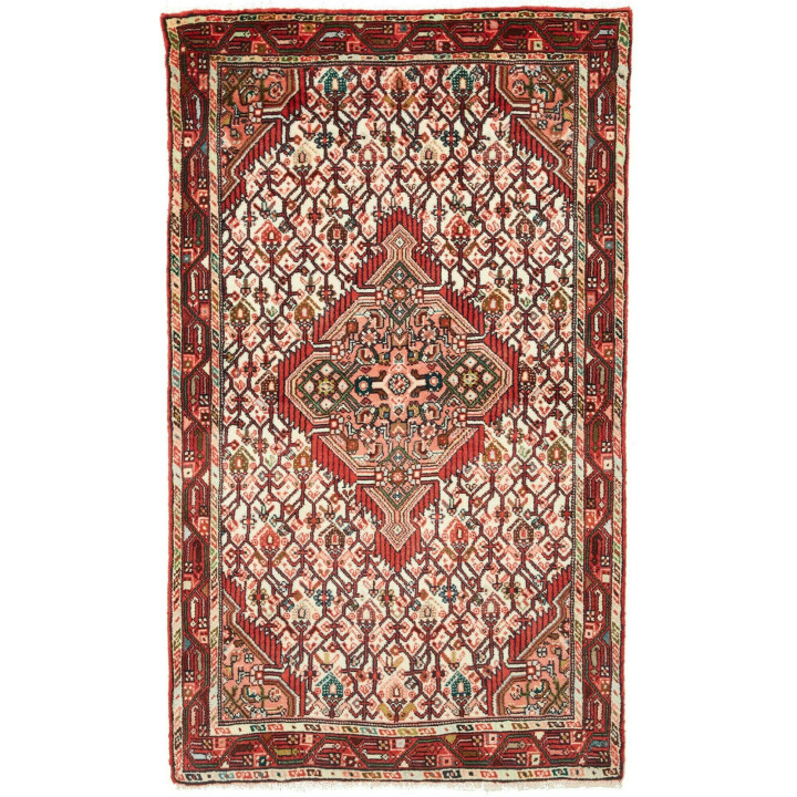 Hand Made Rug Hamadan Persia 83x142 Red Ivory