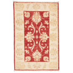 Rug Ziegler Fine Pakistan 60x90 Terracotta Red