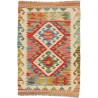 Rug Kilim Afghanistan 60x88 Cream Ivory Red Blu