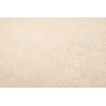 Tappeto Zigler Extra Fine Pakistan 205x290 Beig