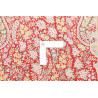 Tappeto Ghom Seta Persia 58x87 Rosso Bordeaux O