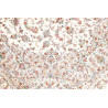 Tappeto Ghom Seta Persia 100x150 Avorio Crema B