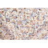Tappeto Ghom Seta Persia 58x83 Avorio Blu Pesca