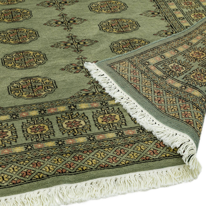 Rug Bokhara stylized olive green with details in