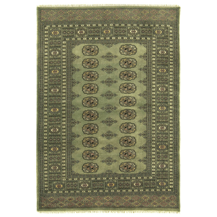 Rug Bokhara stylized olive green with details in