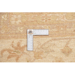 Tappeto Zigler Fine Pakistan 249x307 Nero Beige