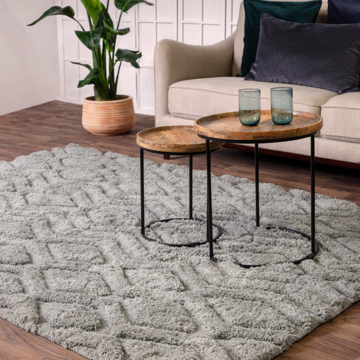Rug Harrison geometric silver grey 160x230 cm