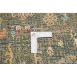 Tappeto Originale Zigler Fine Pakistan 99x154 V