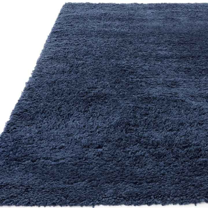 Tappeto Ritchie tinta unita blu 120x170 cm
