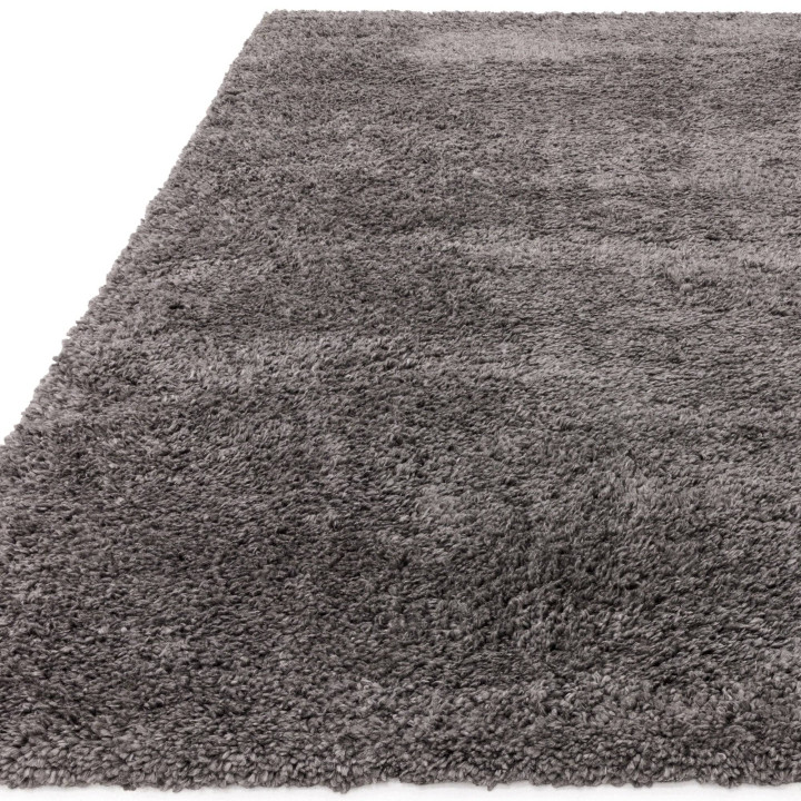 Tappeto Ritchie tinta unita grigio e argento 80x