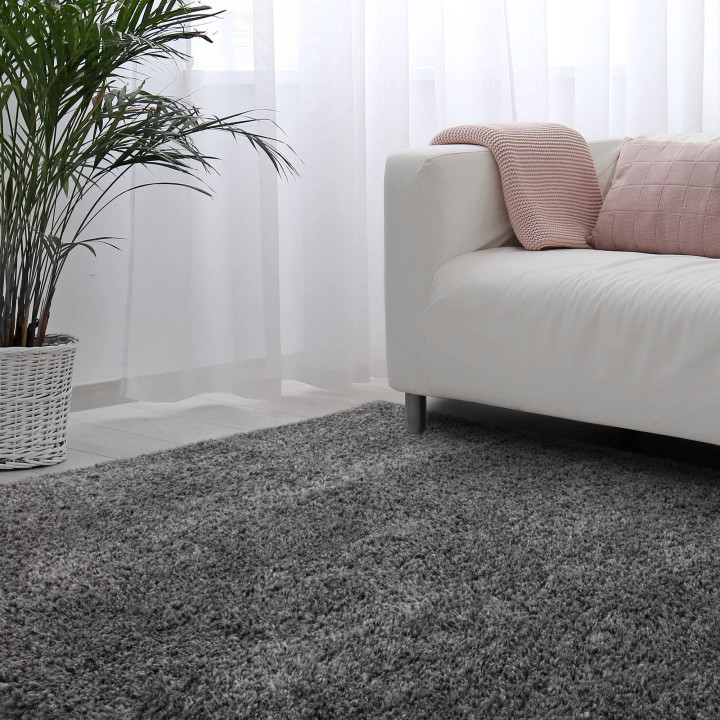 Rug Ritchie plain grey silver 200x290 cm