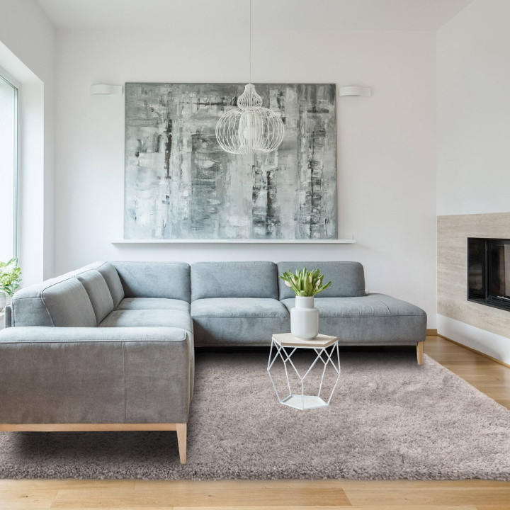 Rug Ritchie plain light grey 80x150 cm