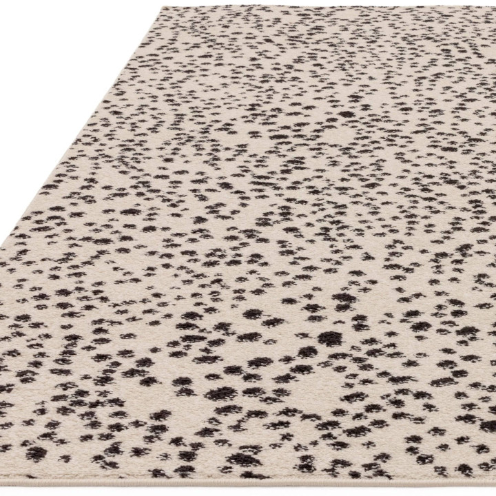Tappeto Muse astratto beige e nero 80x150 cm
