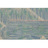 Tappeto Originale Kilim Afghanistan 99x154 Azzu