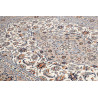 Tappeto Originale Kashan Persia 200x292 Crema B