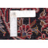 Ardakan 293x405 Cm Ardakan Persia Lana Cardata Cotone