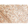 Kashmir 126x186 Cm Kashmir India 100% Silk 450.000-500.000