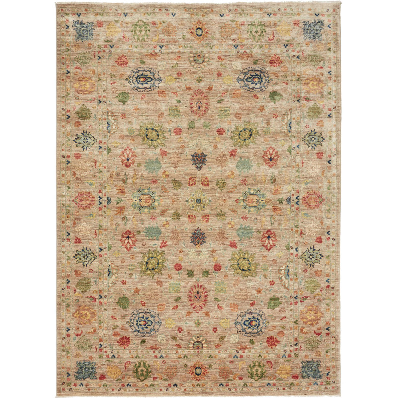 Rug Shahi Fine Pakistan 170x239 Beige Multicolo