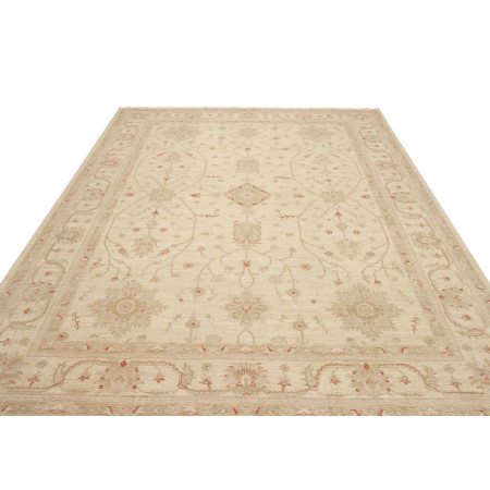 Tappeto Originale Zigler Fine Pakistan 243x315