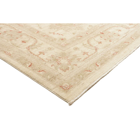 Tappeto Originale Zigler Fine Pakistan 243x315