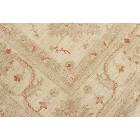 Tappeto Originale Zigler Fine Pakistan 243x315
