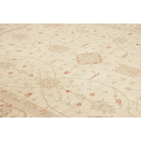 Tappeto Originale Zigler Fine Pakistan 243x315