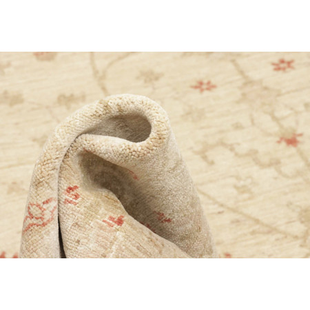 Tappeto Originale Zigler Fine Pakistan 243x315