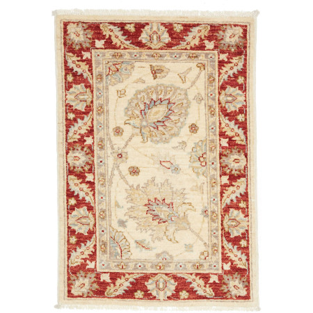 Hand Made Rug Ziegler Fine Pakistan 60x88 Ivory